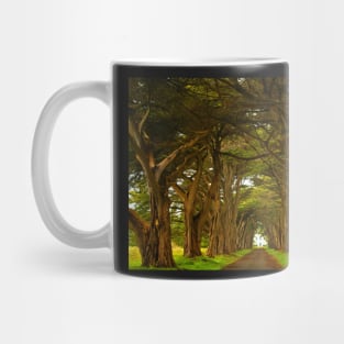 Marin County Cypres Tunnel Mug